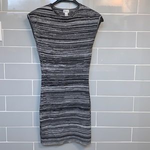 Dynamite Black and Gray Striped Mini Dress
